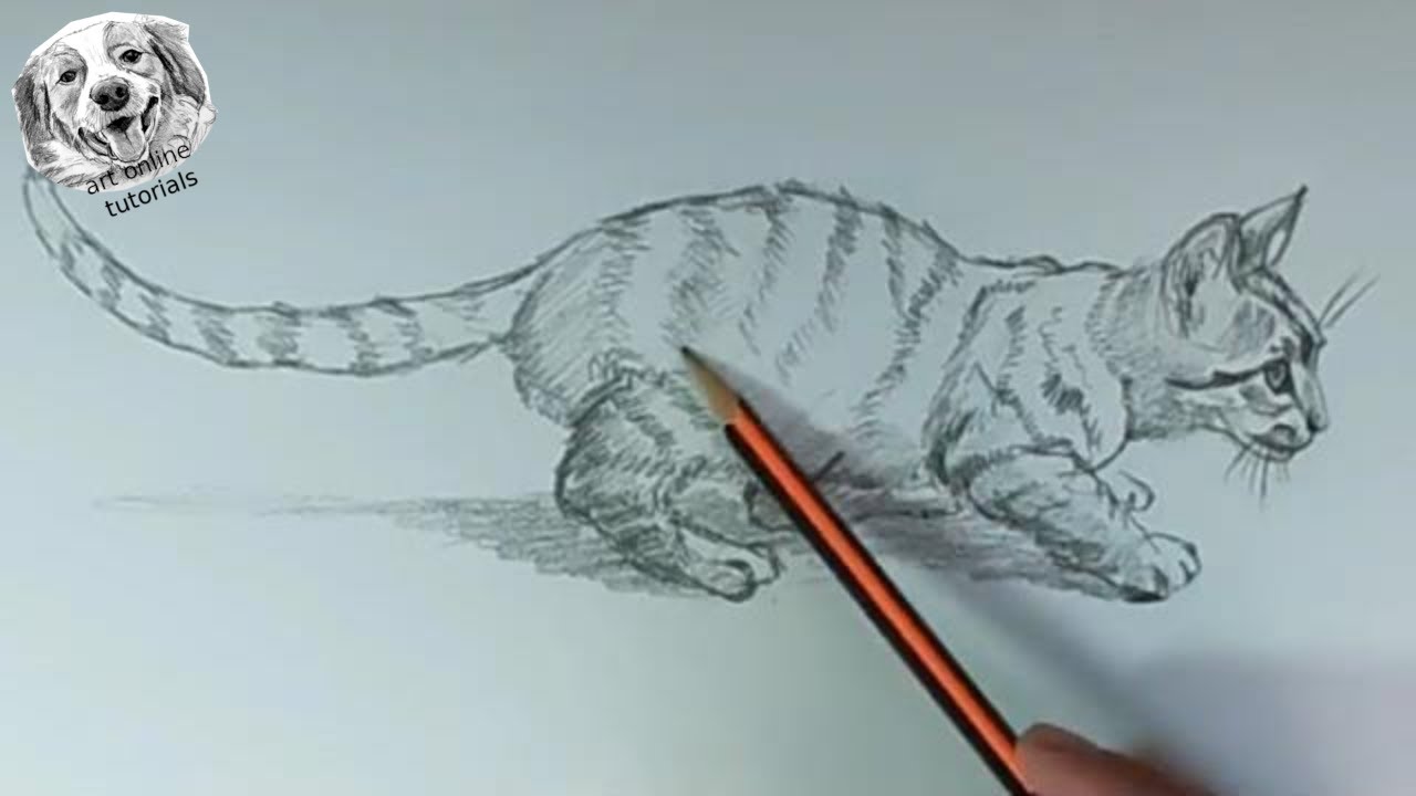 Naturalistic Animal Drawing with Graphite Pencil | 